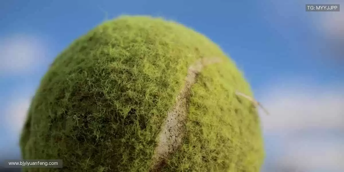 汗水与荣耀同在,赛事舞台由你主宰!🏆